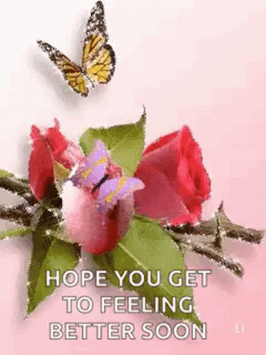 Get Better Soon Roses And Butterfly Glitters GIF