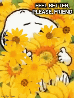 Get Better Soon Snoopy While Holding Sunflower GIF