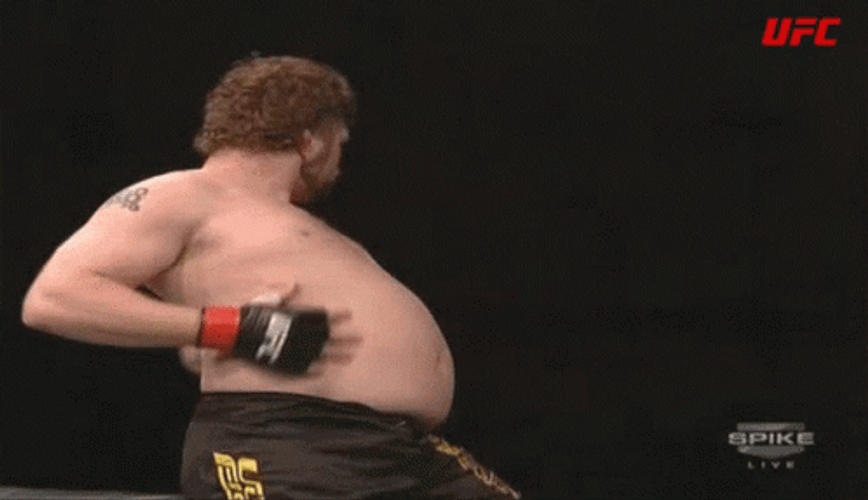 Get In My Belly Roy Nelson GIF
