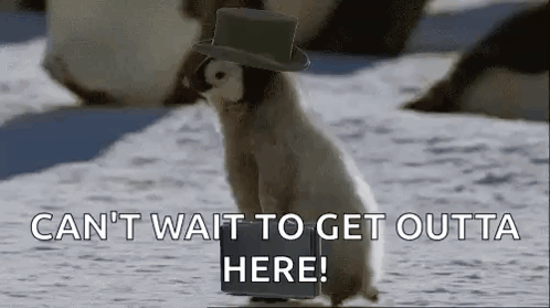 Get Me Out Of Here Can't Wait Penguin GIF