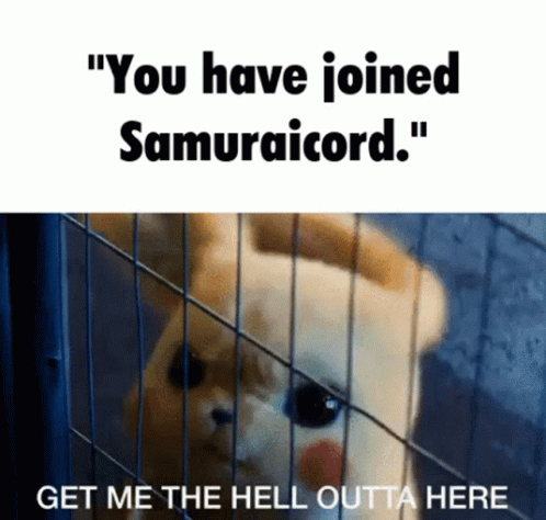 Get Me Out Of Here Samuraicord Pikachu GIF
