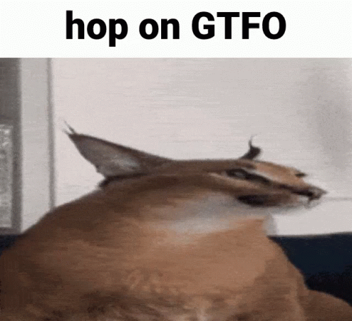 Get On Gtfo Gtfo GIF