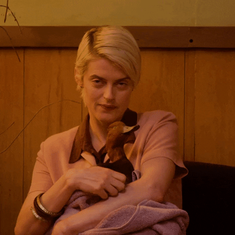 Get Over Here The Bridge GIF