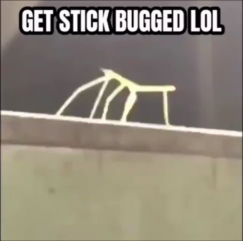 Get Stick Bug And Hand Fist GIF