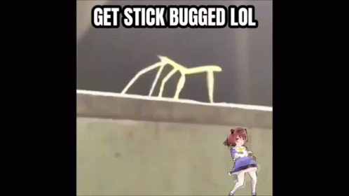 Get Stick Bug Lol Meme GIF