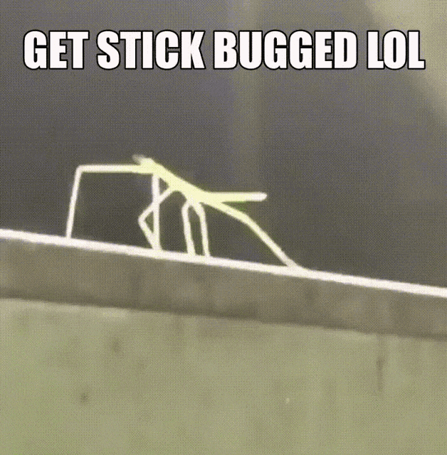 Get Stick Bug Lol Movie GIF