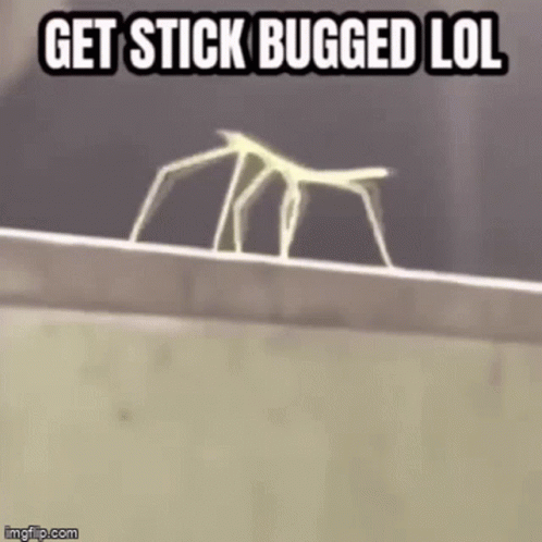 Get Stick Bugged Lol Rick Roll Meme GIF