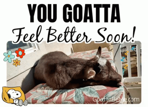 Sleeping Goat Get Well GIF