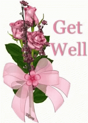 Pink Roses Get Well GIF