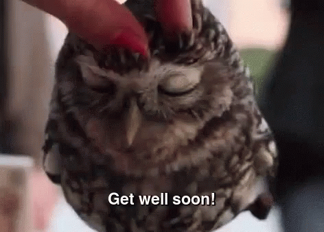 Get Well Owl Getting Pat GIF