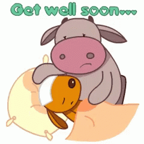 Get Well Soon Cow GIF