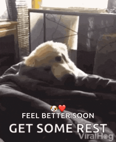 Get Well Soon Gif GIF