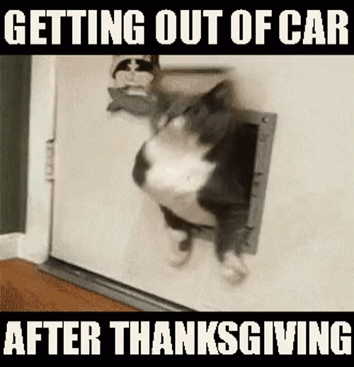 Getting Out Of Car After Funny Happy Thanksgiving GIF
