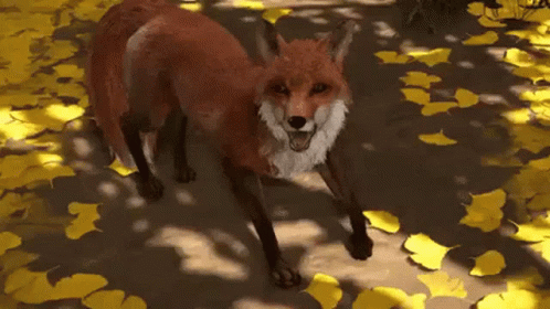 Ghost Of Tsushima Excited Fox GIF