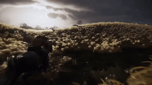 Ghost Of Tsushima Horse Riding GIF