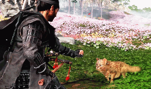 Ghost Of Tsushima Jin Sakai And Baby Tiger GIF
