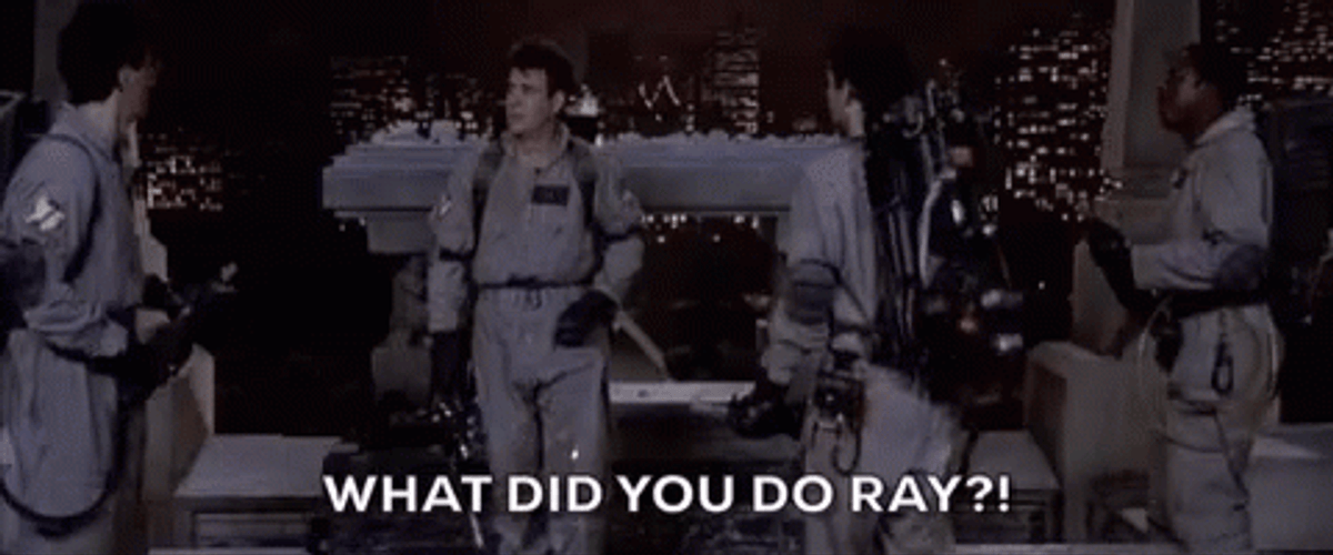 Ghostbusters What Did You Do Ray GIF