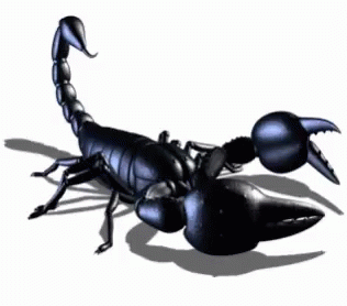 Giant Black Animated Scorpion GIF