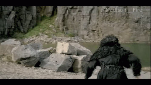 Giant Gorilla by Water and Rocks