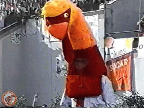 Giant Inflatable Chicken in Front of Sugar Sign