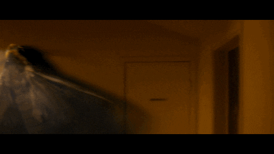 Giant Moth Near The Light GIF