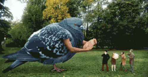 Giant Pigeon Give Ballons GIF