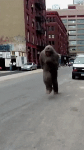 Giant Sasquatch Street Running GIF
