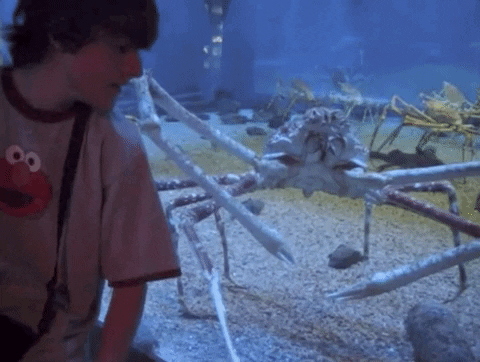 Giant Spider Crab Boy GIF