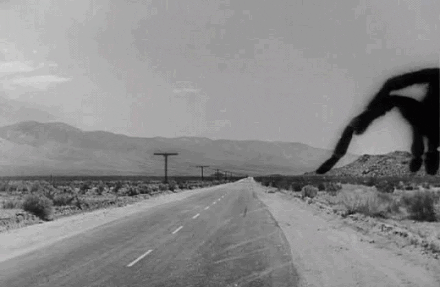 Giant Spider Walking GIF