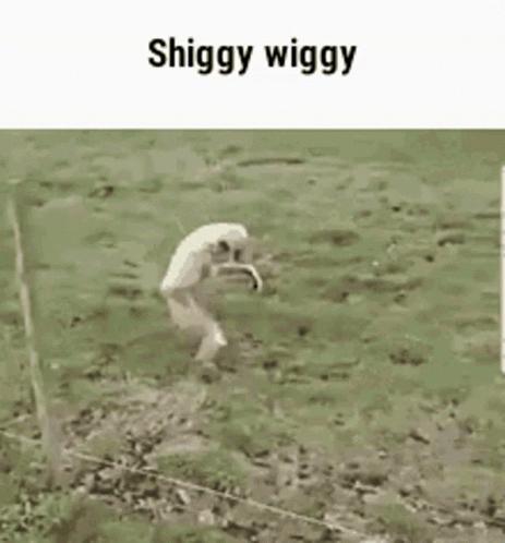 Gibbon Silly Walk GIF