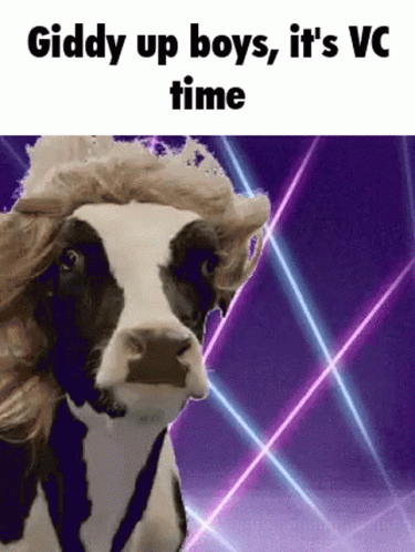 Giddy Up Boys It's Video Call Time GIF