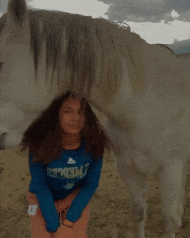 Giddy Up Girl And White Horse GIF