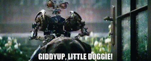 Giddy Up Little Doggie GIF