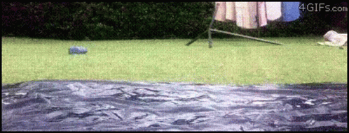 GIF From 4gifs