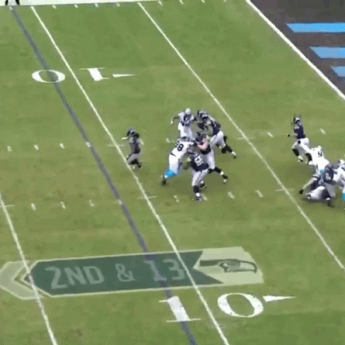 Gif Panthers GIF