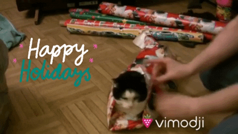 Gift Wrapping Christmas Cat GIF