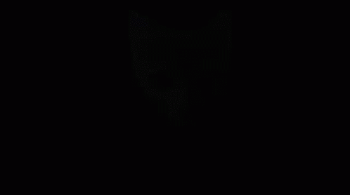 Gigachad Cat Meme GIF