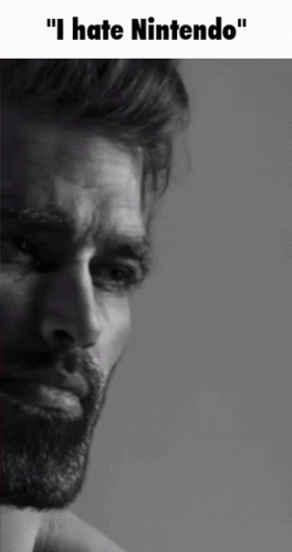 Gigachad I Hate Nintendo Meme GIF