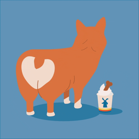 Giggling Ptsd Dog GIF