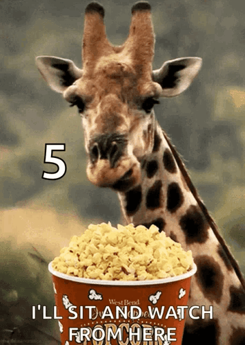 Giraffe Eating Popcorn With Number 5
