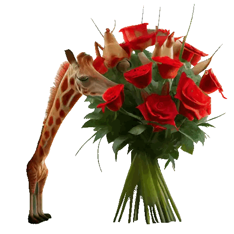 Giraffe Holding Red Roses Saying Miss You