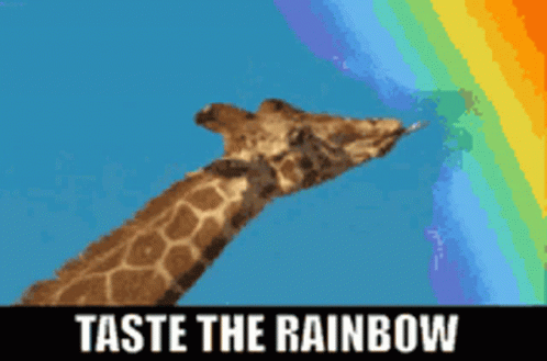 Giraffe Lick On Skittles Candy Rainbow GIF