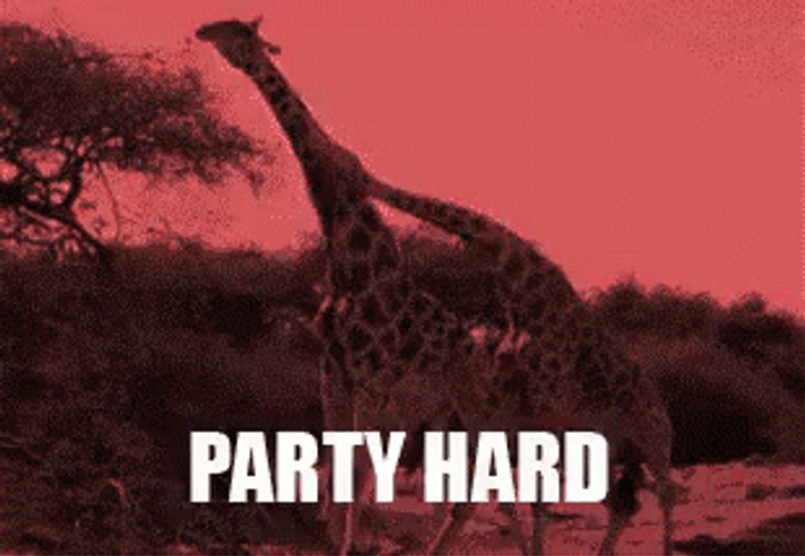 Giraffe Party Hard GIF