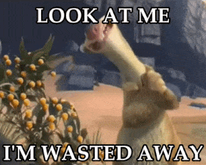 Giraffe Saying Look at Me I Am Wasted