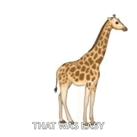 Giraffe Standing Next to Baby Giraffe