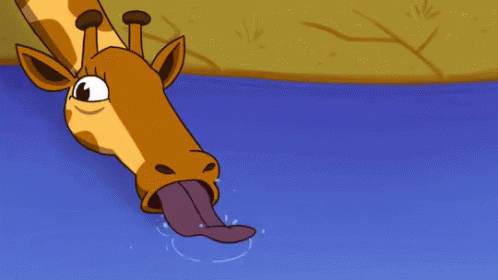 Giraffe Sticking Tongue Out Into Water