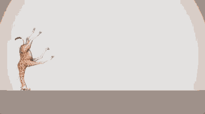 Giraffe Weird Head Tricks GIF