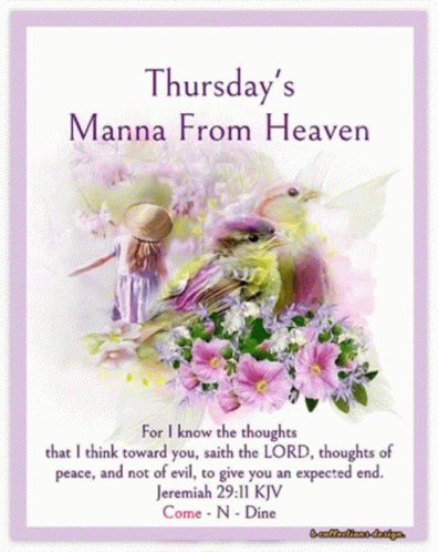 Girl and Bird Thursday's Manna From Heaven