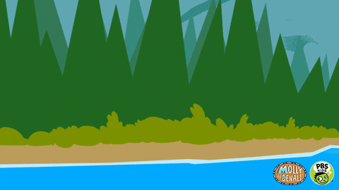 Girl Caught Fish Pbs Kids GIF