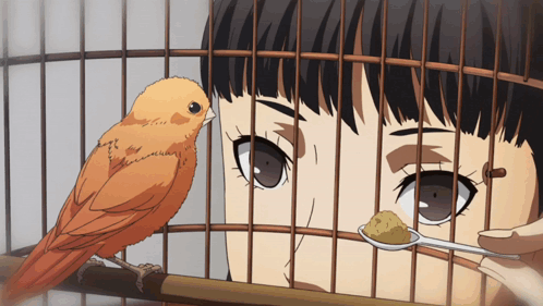 Girl Feeding Orange Bird In Cage GIF